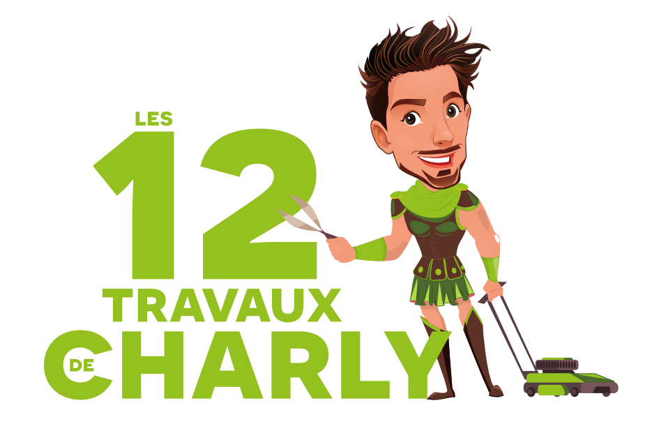 Les 12 travaux de Charly