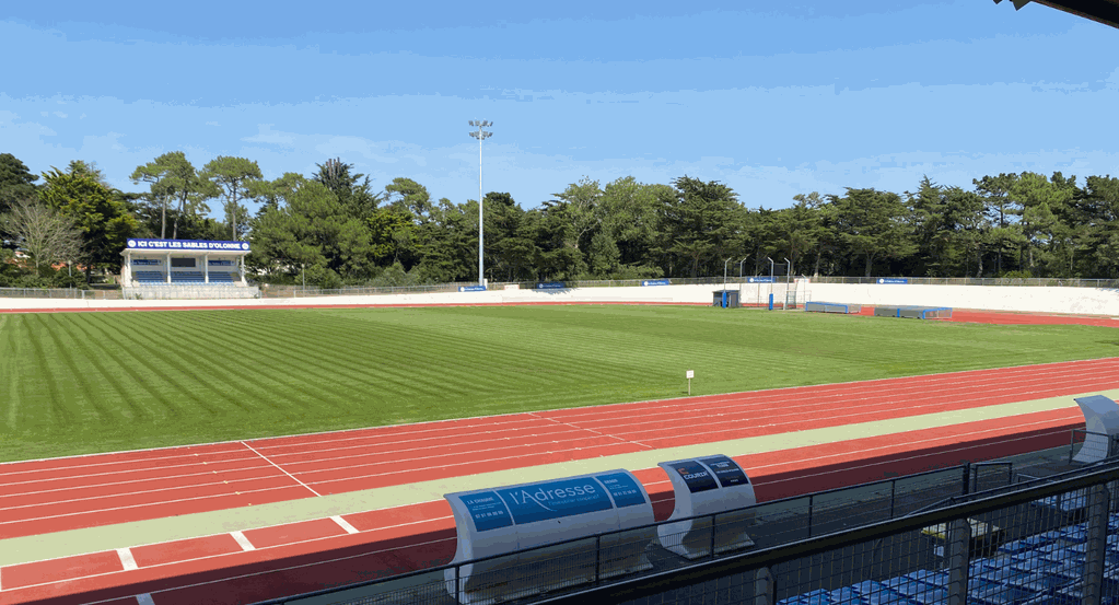 Stade de la Rudelière, visuel officiel du club
